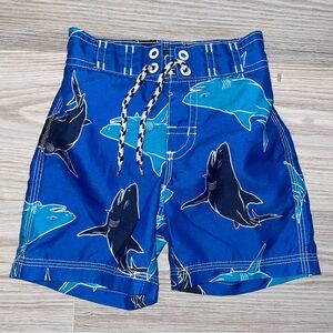 Gymboree Baby Boys Swim Trunks Size 12–18 Months Mesh Liner